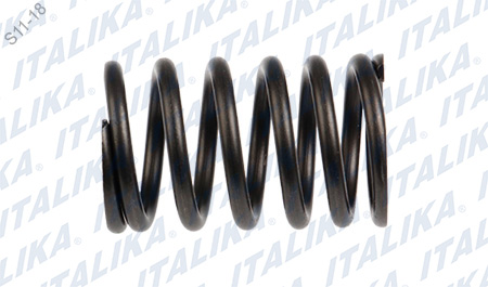 [E04040024] RESORTE EXTERNO DE VALVULA