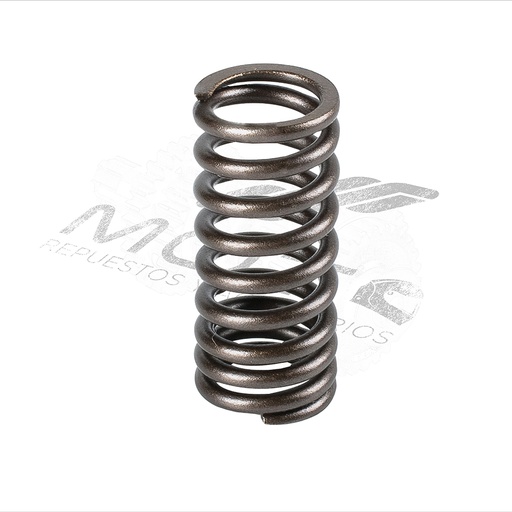 [E04040053] RESORTE INT. VALVULA ADMIS.