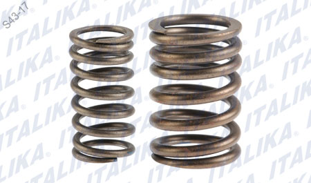 [E04040224] CONJUNTO RESORTE VALVULA