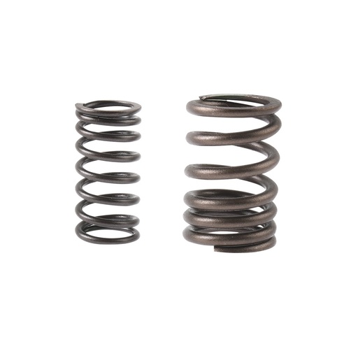 [E04040264] JGO RESORTES VALVULA