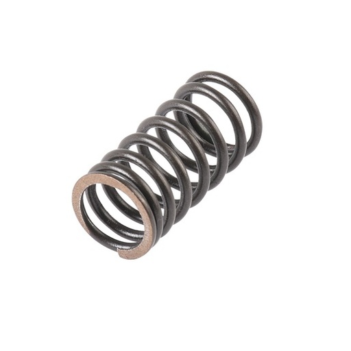 [E04040265] RESORTE INTERNO VALVULA