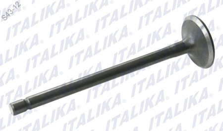 [E04050008] VALVULA DE ESCAPE, d=5.5, D=25, L=91.5