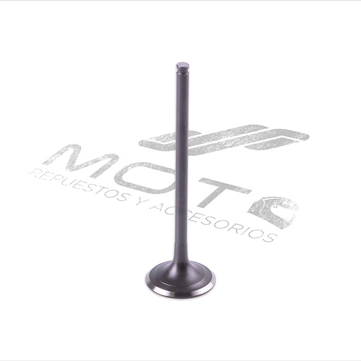 [E04050096] VALVULA ESCAPE