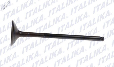 [E04050108] VALVULA ESCAPE 5.5X29X102