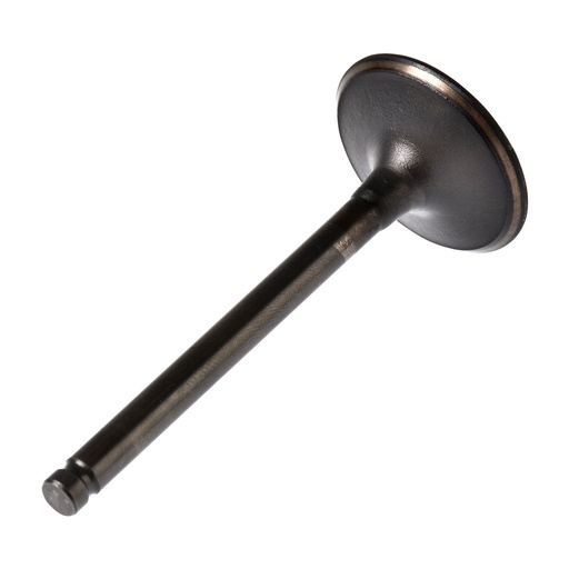 [E04050119] VALVULA ADMISION