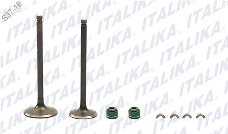 [E0405KV05] JUEGO VALVULAS MOTOR