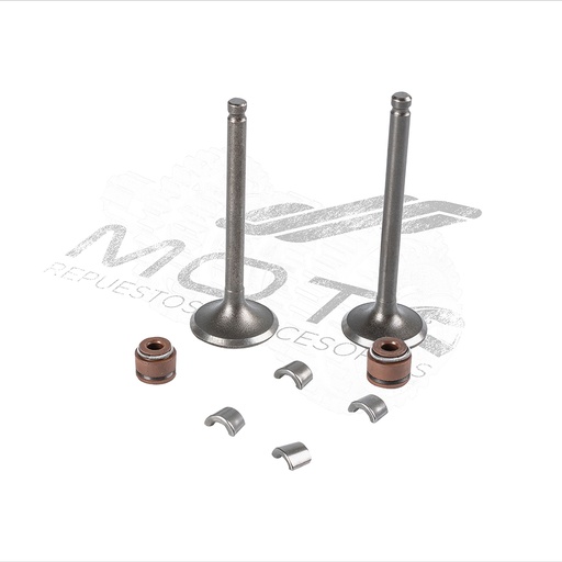 [E0405KV06] JUEGO VALVULAS MOTOR