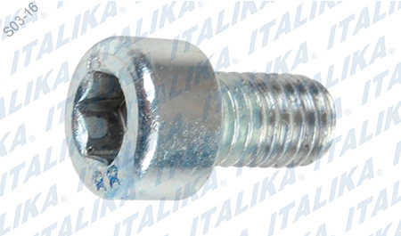 [E04060057] TORNILLO M6X10