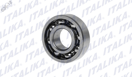 [E06010088] BALERO RADIAL BOLA 6202/P6