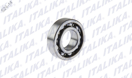 [E06010098] BALERO RADIAL BOLA 6004/P6