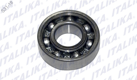 [E06010105] BALERO RADIAL BOLAS 6202Z