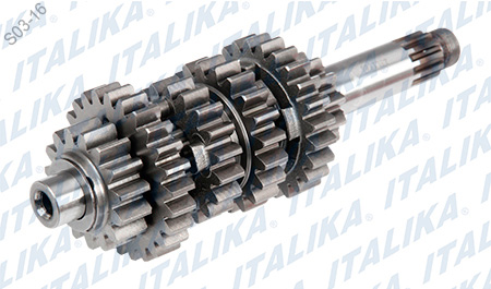 [E06020056] CONJUNTO PRIMARIO TRANSMISION