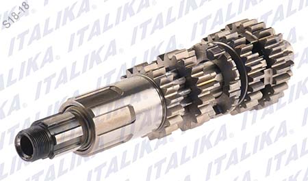 [E06020060] CONJUNTO PRIMARIO TRASMISION