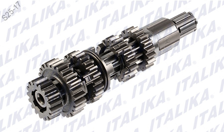 [E06020070] CONJUNTO PRIMARIO TRANSMISION