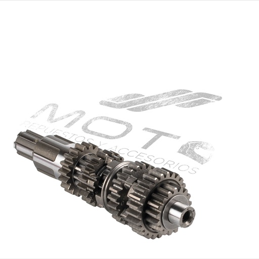 [E06020083] CONJUNTO PRIMARIO TRANSMISION