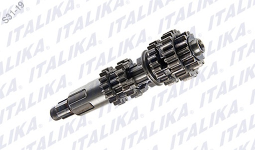 [E06020095] CONJUNTO PRIMARIO TRANSMISION