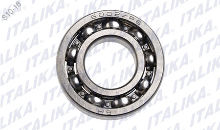 [E07030002] BALERO BOLA RADIAL,6002