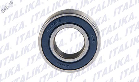 [E07030052] BALERO BOLA RADIAL 6205-RS