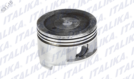 [E08010116] PISTON
