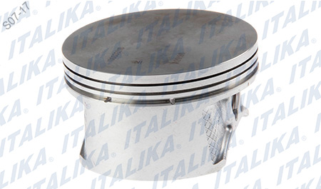 [E08010145] PISTON