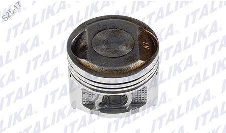 [E08010155] PISTON