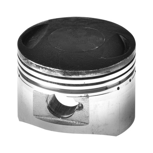 [E08010185] PISTON