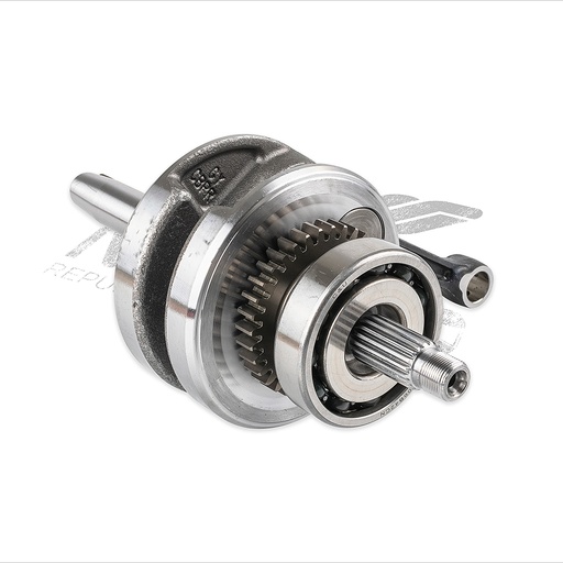 [E08020072] CONJUNTO CIGUENAL