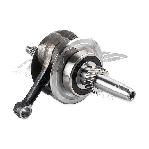 [E08020074] CONJUNTO CIGÜENAL