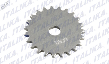 [E09040046] PIÑON BOMA DE ACEITE