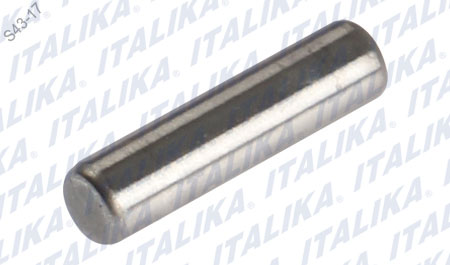 [E09050005] PASADOR 2.5X9.8