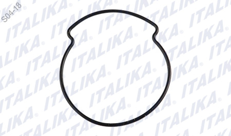 [E10030098] O-RING 53.25