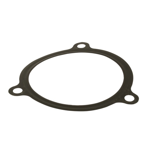 [E10030121] EMPAQUE CUBIERTA FILTRO PARTICULAS