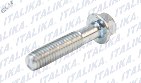 [E11050019] TORNILLO 6M*28