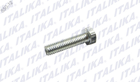 [E14030006] TORNILLO CABEZA HEXAGONAL 6M *