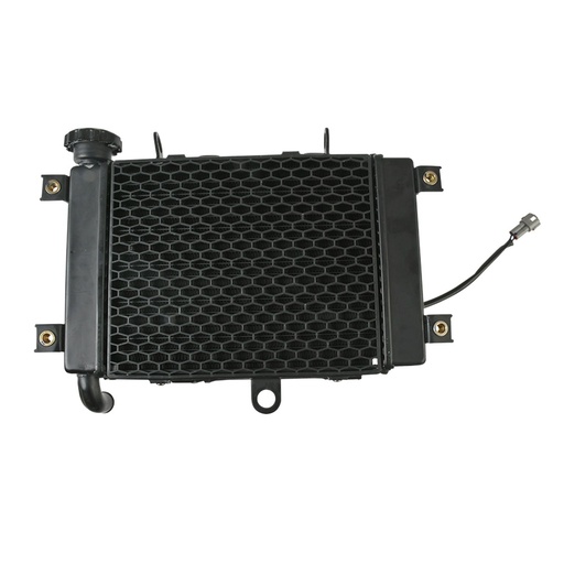 [E15010039] ENSAMBLE RADIADOR