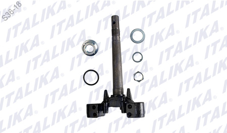 [F01010030] TELESCOPIO DIRECCION