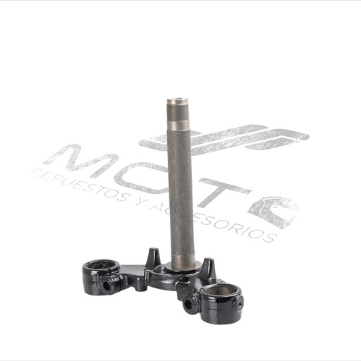 [F01010056] TELESCOPIO DIRECCION