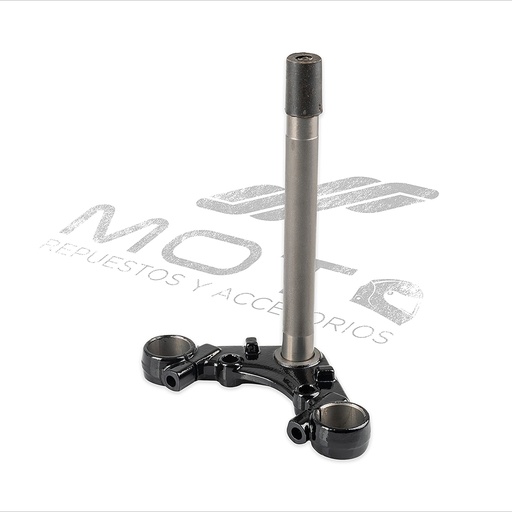 [F01010057] TELESCOPIO DIRECCION