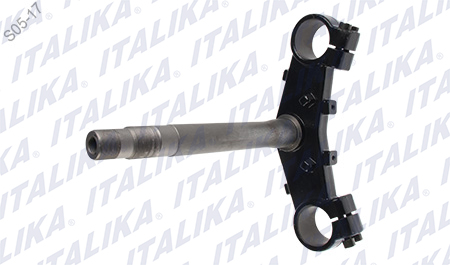 [F01010070] TELESCOPIO DIRECCION