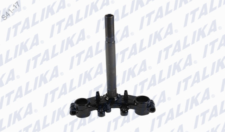 [F01010080] TELESCOPIO DIRECCION