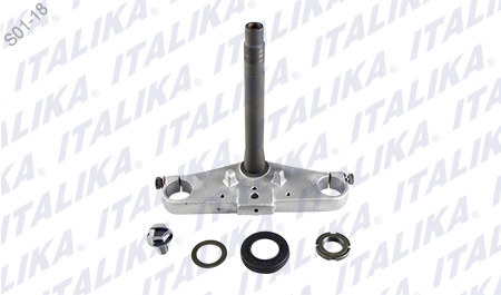 [F01010088] TELESCOPIO DIRECCION