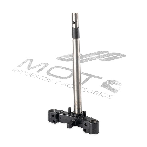 [F01010099] TELESCOPIO DIRECCION