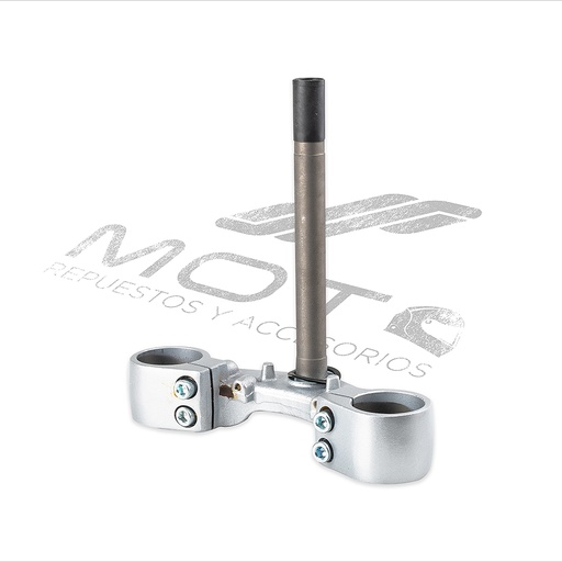 [F01010103] TELESCOPIO DIRECCION