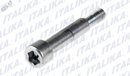 [F02010287] TORNILLO ESPECIAL M10