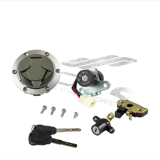 [F04020227] JUEGO CERRADURAS