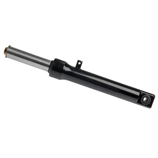 [F06020201] FUSIBLE 10A