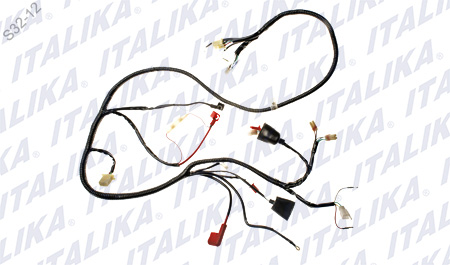 [F06050002] ARNES PRINCIPAL