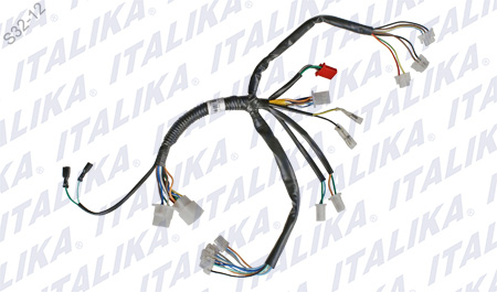 [F06050003] ARNES SUPLEMENTARIO