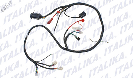 [F06050004] ARNES PRINCIPAL