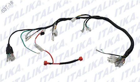 [F06050017] ARNES PRINCIPAL